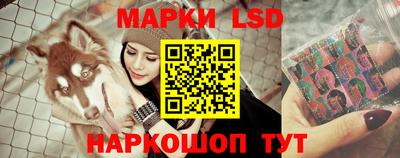 мяу мяу мука Камышлов