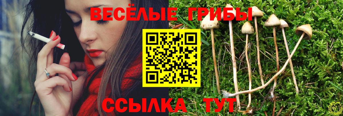 Галлюциногенные грибы Psilocybine cubensis  Вход с VPN  Псилоцибиновые грибы MAGIC MUSHROOMS  Геленджик 