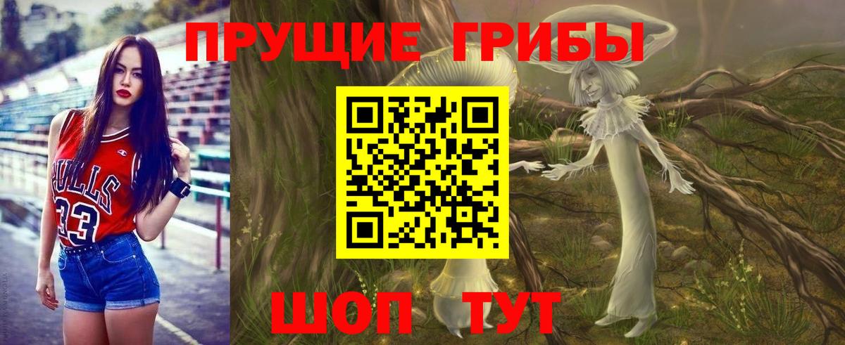 Псилоцибиновые грибы мицелий Геленджик